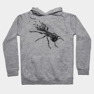 Ants United Hoodie